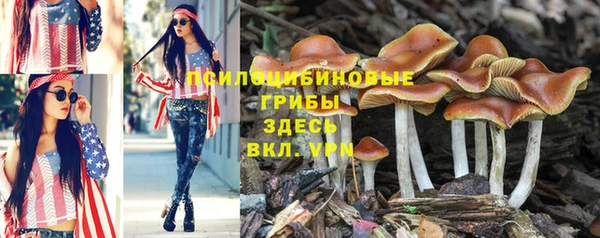 герыч Абдулино