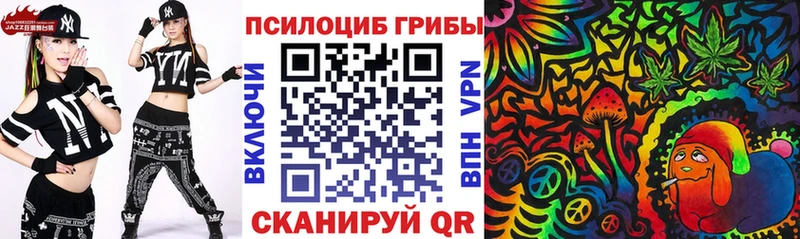Псилоцибиновые грибы Cubensis  Десногорск 